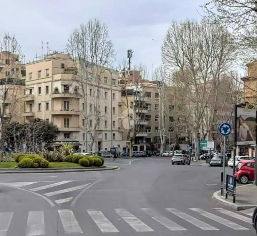 appartamento in affitto a Roma in zona Parioli