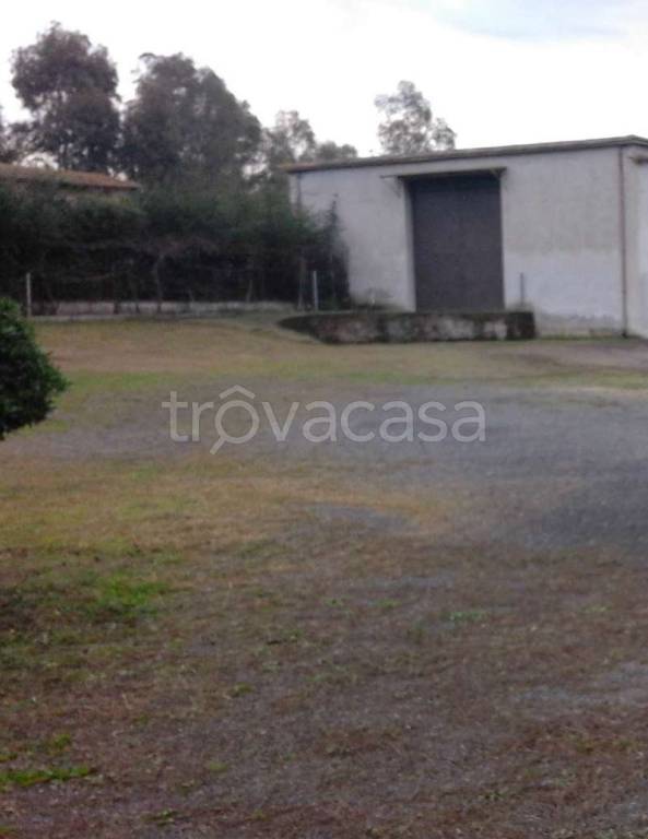 appartamento in affitto a Roma in zona Giuliano Dalmata