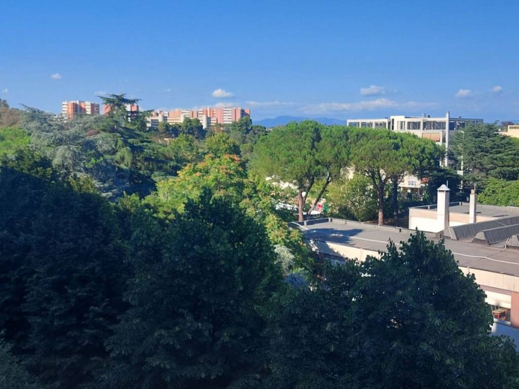 appartamento in affitto a Roma in zona Giuliano Dalmata