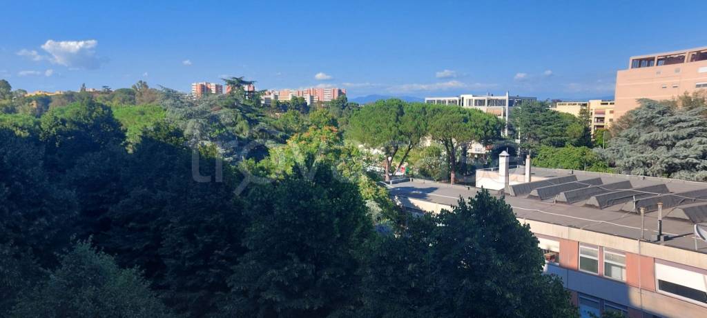 appartamento in affitto a Roma in zona Giuliano Dalmata