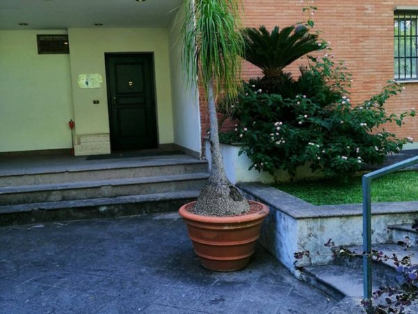 ufficio in affitto a Roma in zona Torrino