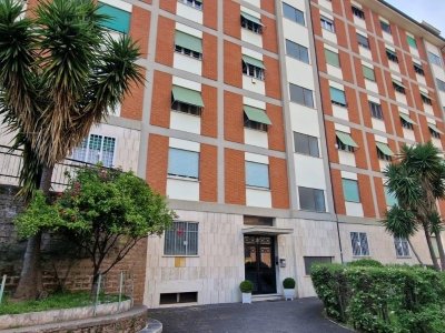 appartamento in affitto a Roma in zona Collatino