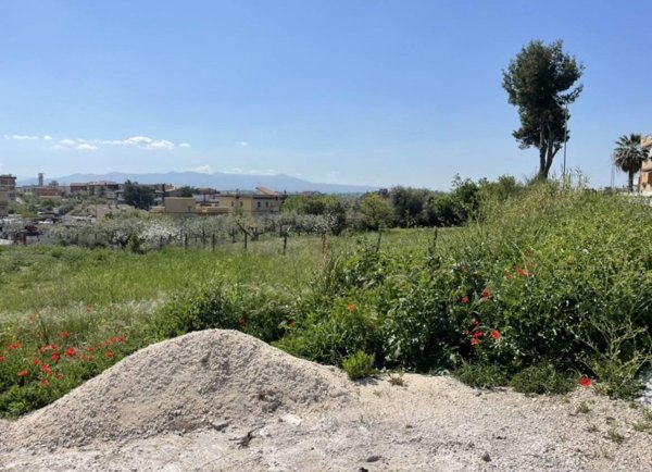 terreno agricolo in affitto a Roma in zona Case Rosse