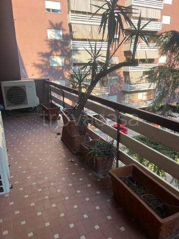 appartamento in affitto a Roma in zona Vigna Murata