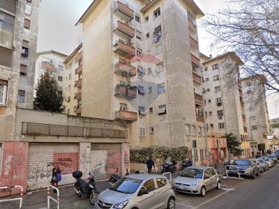 appartamento in affitto a Roma in zona Don Bosco