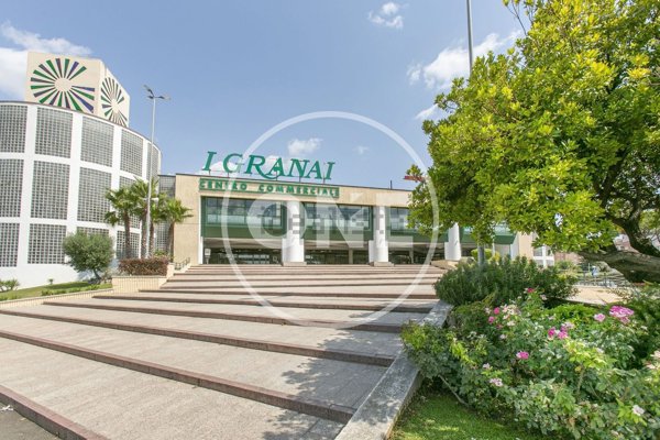 locale commerciale in affitto a Roma