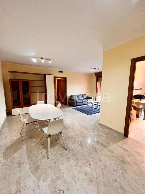 appartamento in affitto a Roma in zona Torrino