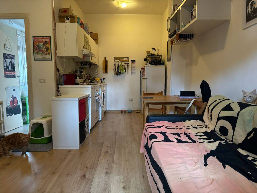 appartamento in affitto a Roma in zona Torrevecchia
