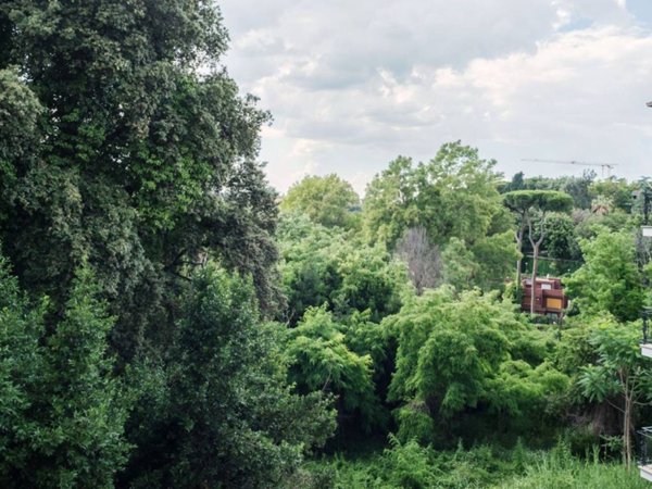 appartamento in affitto a Roma in zona Trionfale