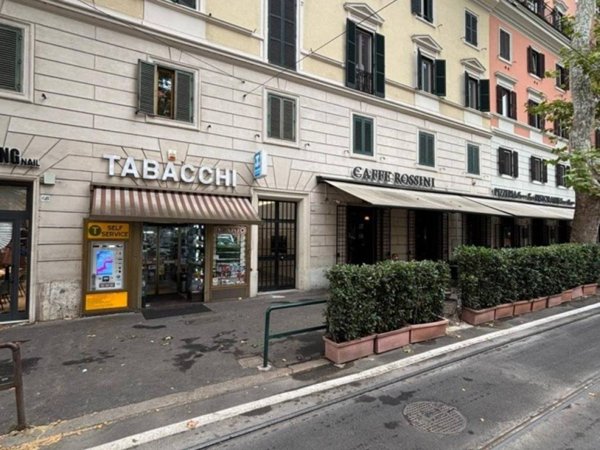 appartamento in affitto a Roma in zona Pinciano