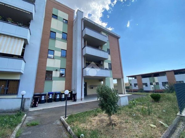 quadrivano in affitto a Roma in zona Ponte di Nona