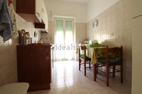 appartamento in affitto a Roma in zona Trionfale