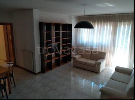 appartamento in affitto a Roma in zona Monte Sacro/Talenti