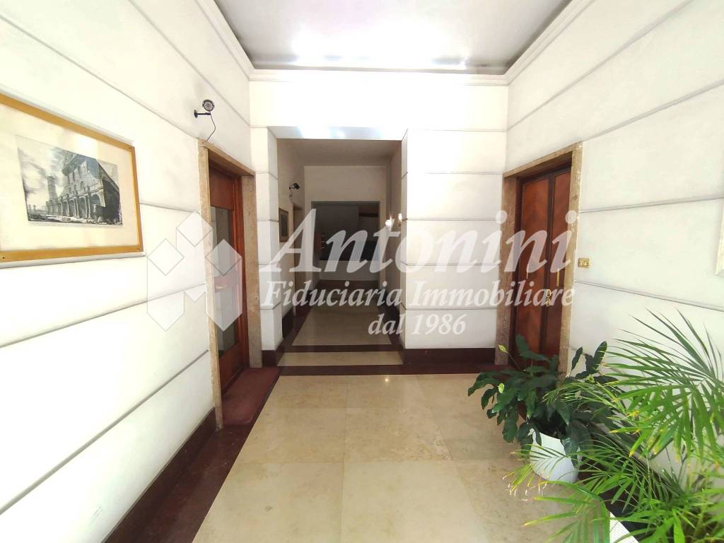 appartamento in affitto a Roma in zona Flaminio