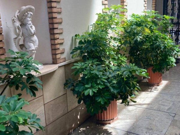 appartamento in affitto a Roma in zona Cinecittà
