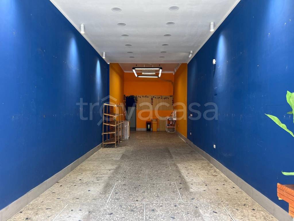 casa indipendente in affitto a Roma in zona Trieste