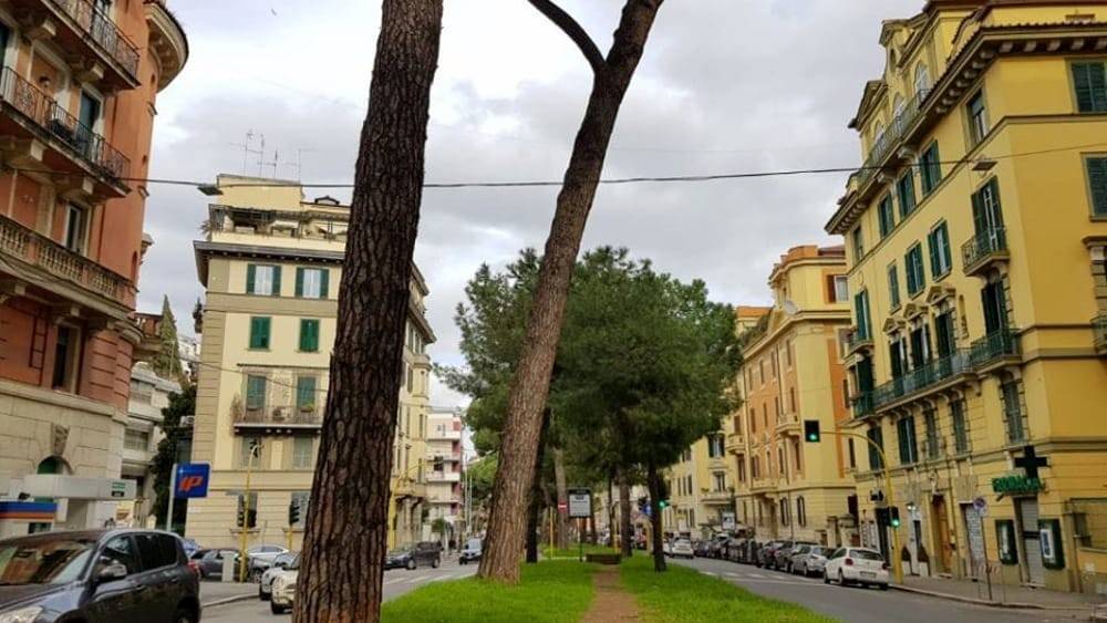 appartamento in affitto a Roma in zona Rione Prati