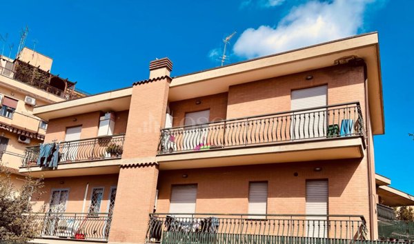 appartamento in affitto a Roma in zona Trionfale