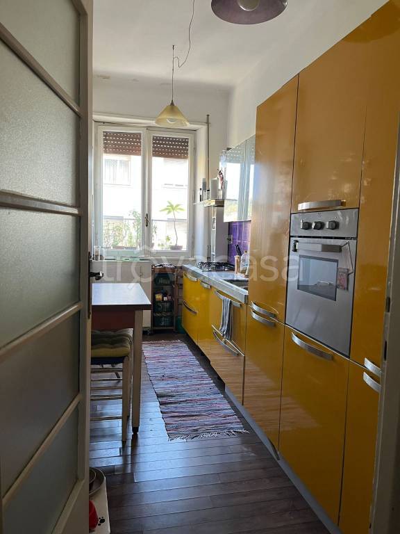appartamento in affitto a Roma in zona Trionfale