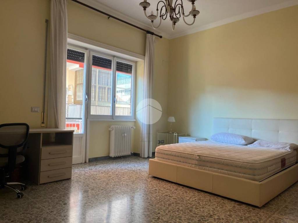 appartamento in affitto a Roma in zona Trionfale