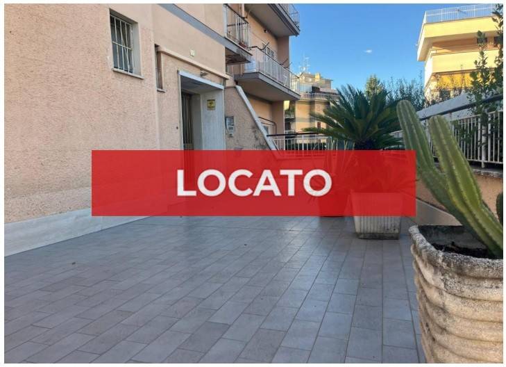 appartamento in affitto a Roma in zona Trionfale