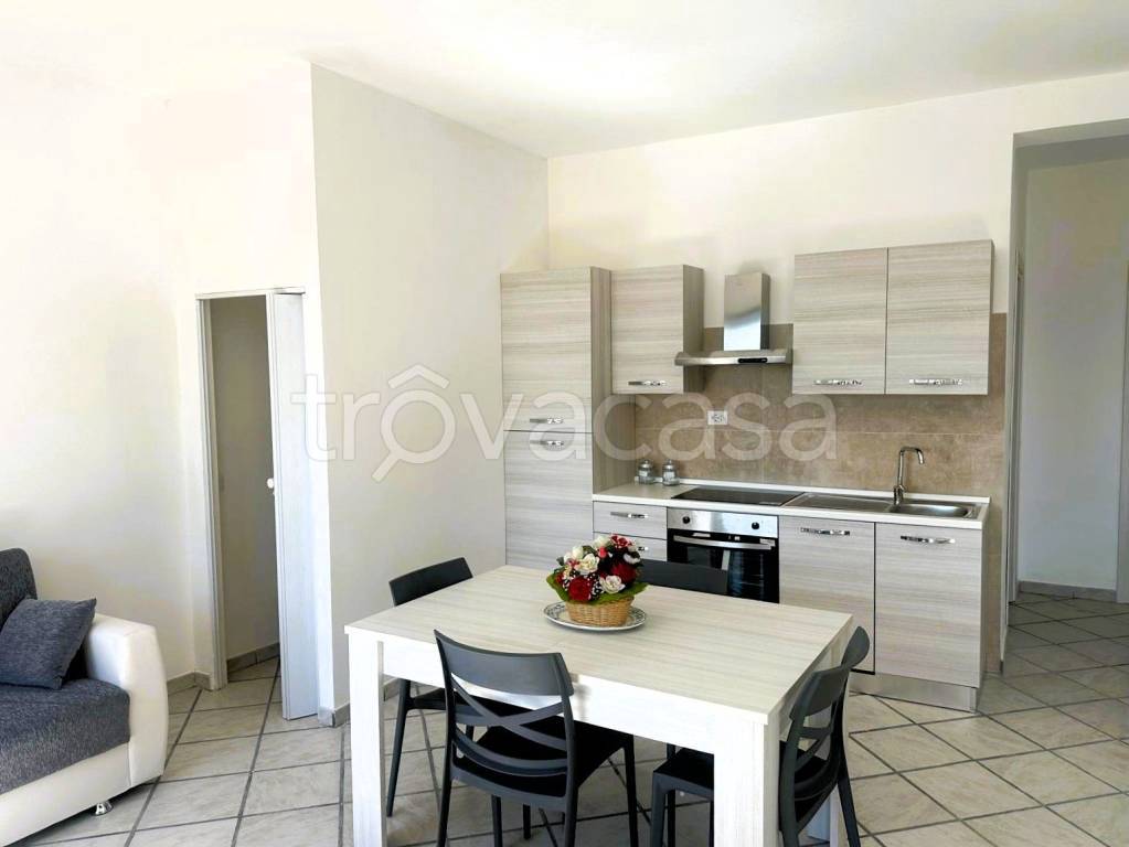 appartamento in affitto a Roma in zona Flaminio