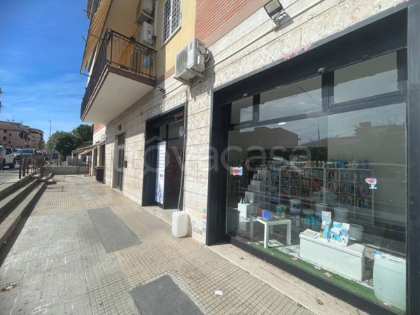 monolocale in affitto a Roma in zona Torre Maura