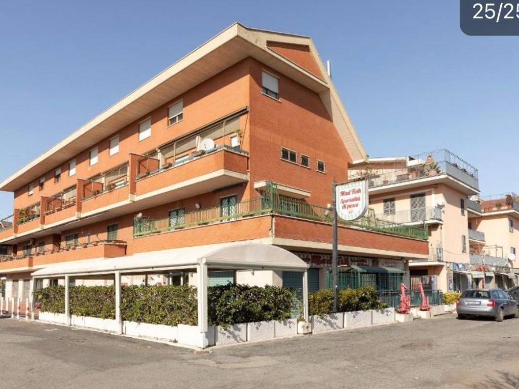 appartamento in affitto a Roma in zona Tor Vergata/Torrenova