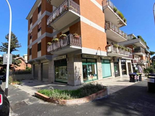 appartamento in affitto a Roma in zona Giuliano Dalmata