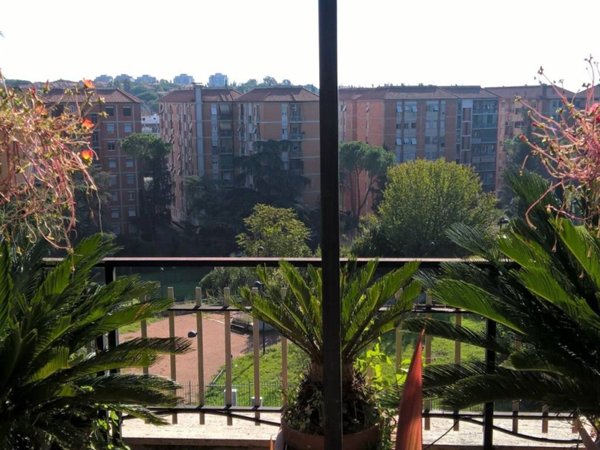 appartamento in affitto a Roma in zona Monte Sacro/Talenti
