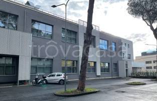 ufficio in affitto a Roma in zona Ponte Mammolo