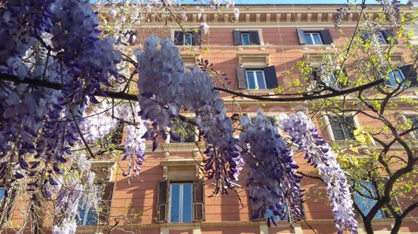 appartamento in affitto a Roma in zona Trastevere