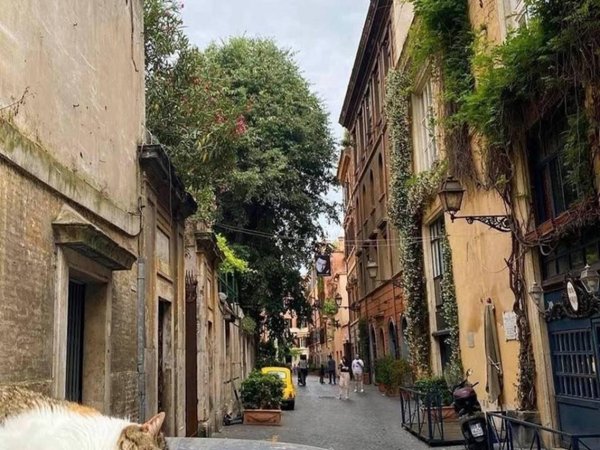 casa indipendente in affitto a Roma in zona Campo Marzio