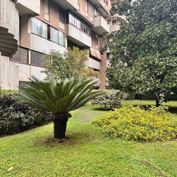 appartamento in affitto a Roma in zona EUR