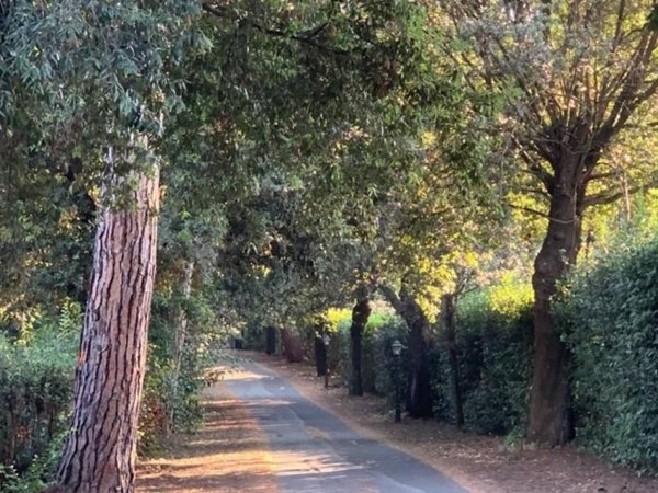 appartamento in affitto a Roma in zona Ardeatino