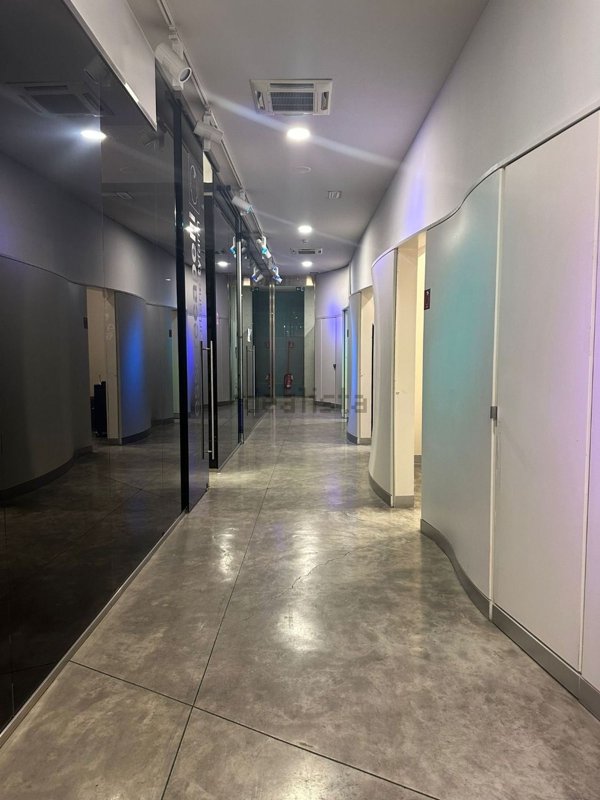 appartamento in affitto a Roma in zona Parioli