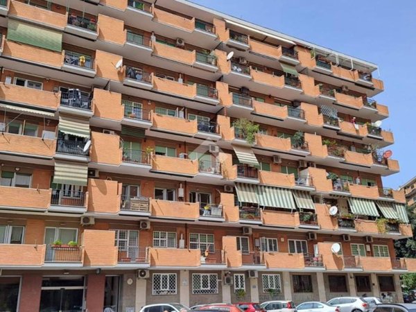 appartamento in affitto a Roma in zona Appio Latino