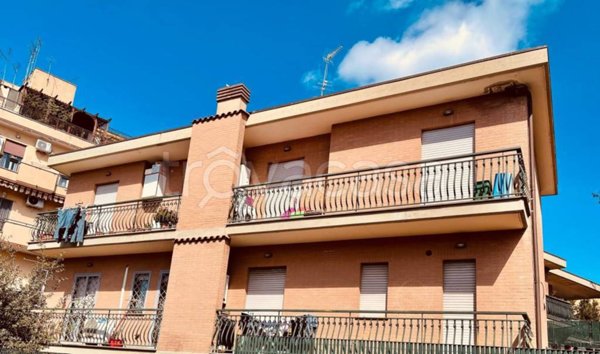 appartamento in affitto a Roma in zona Trionfale