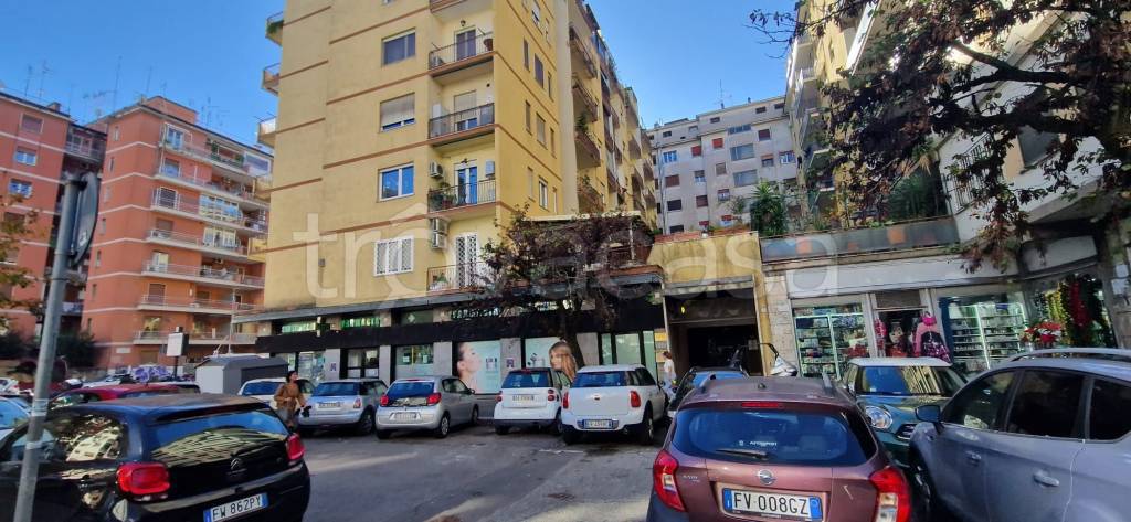 appartamento in affitto a Roma in zona Trieste