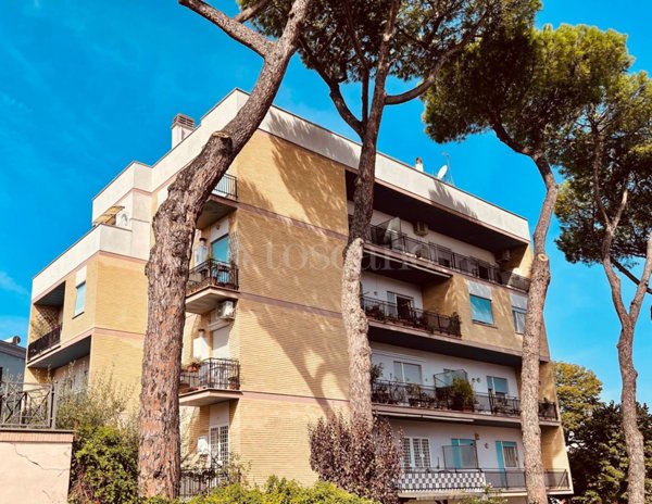 casa semindipendente in affitto a Roma in zona Trionfale