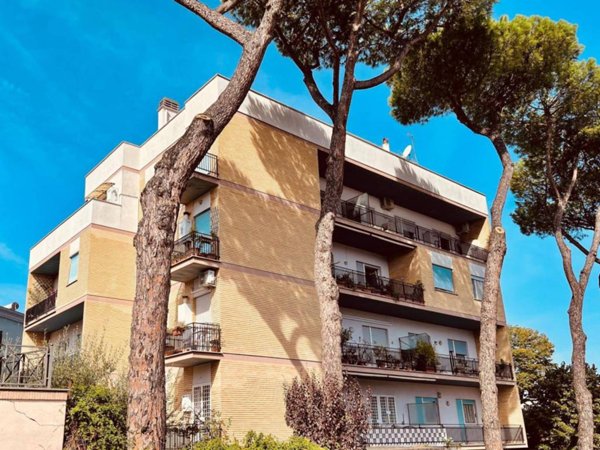 casa semindipendente in affitto a Roma in zona Trionfale