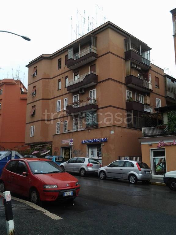 appartamento in affitto a Roma in zona Primavalle