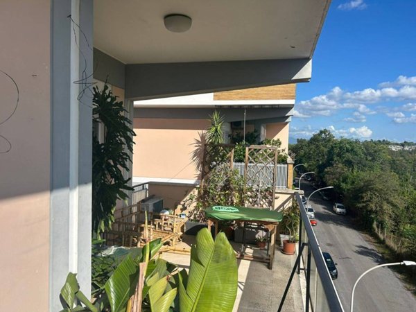 appartamento in affitto a Roma in zona Monte Sacro/Talenti