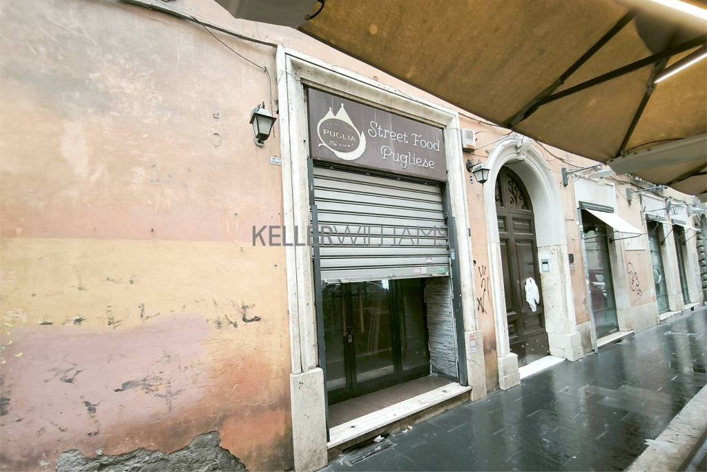 appartamento in affitto a Roma in zona Campo Marzio