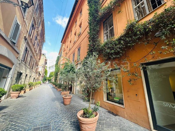 appartamento in affitto a Roma in zona Campo Marzio