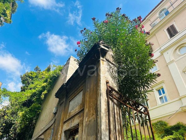 appartamento in affitto a Roma in zona Campo Marzio