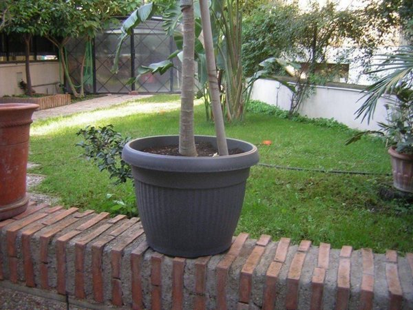 appartamento in affitto a Roma in zona Gianicolense