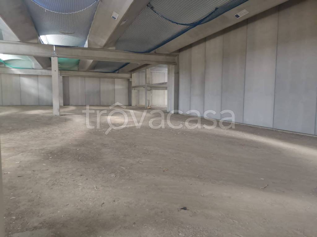 capannone in affitto a Roma in zona Gianicolense