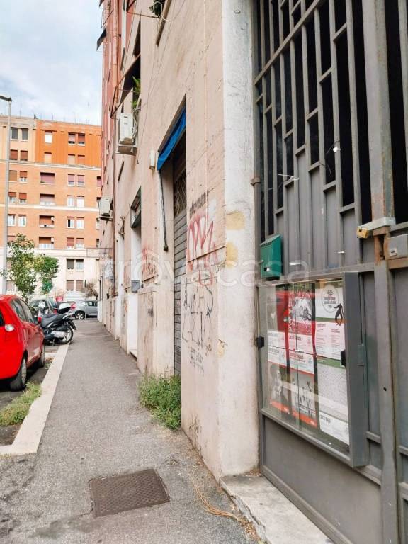appartamento in affitto a Roma in zona Trieste