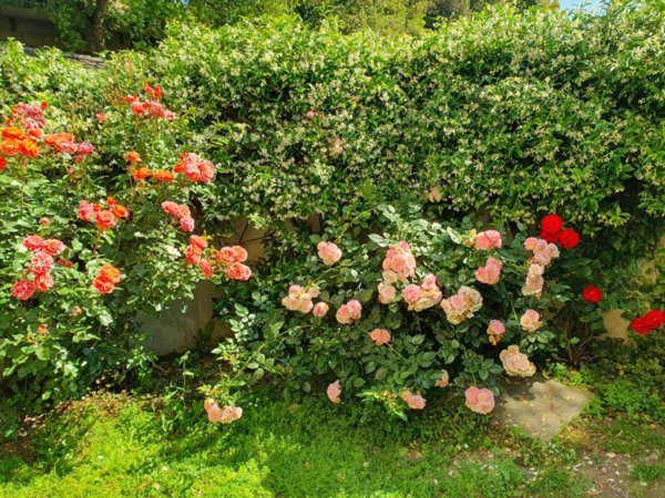 appartamento in affitto a Roma in zona Ostia Antica